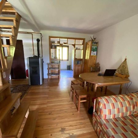 Mystic Forest Hostel มิโตรวัค ภายนอก รูปภาพ
