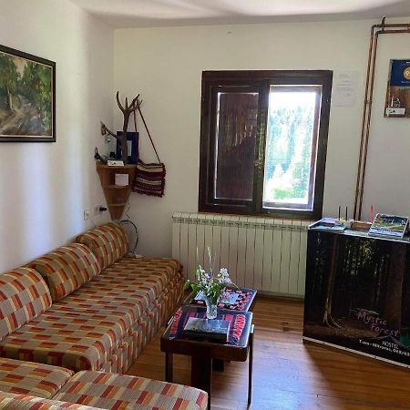 Mystic Forest Hostel มิโตรวัค ภายนอก รูปภาพ