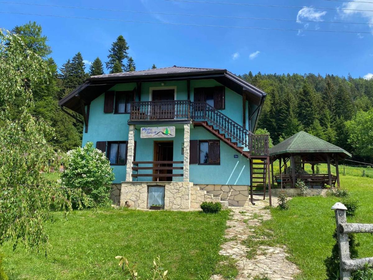 Mystic Forest Hostel มิโตรวัค ภายนอก รูปภาพ