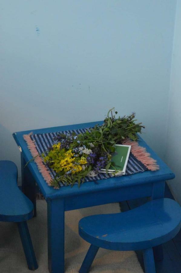 Mystic Forest Hostel มิโตรวัค ภายนอก รูปภาพ