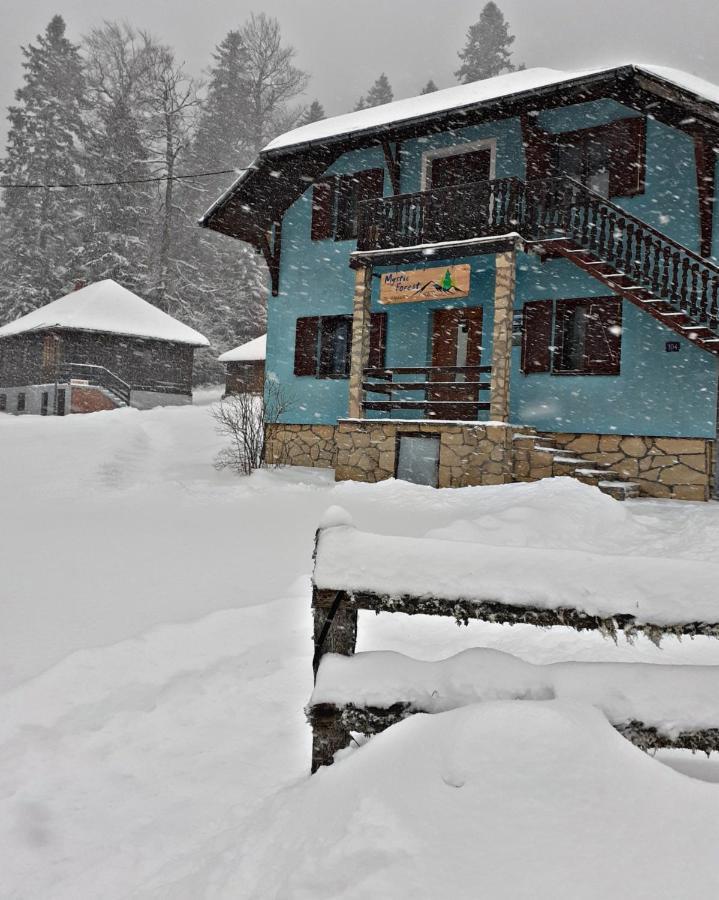 Mystic Forest Hostel มิโตรวัค ภายนอก รูปภาพ